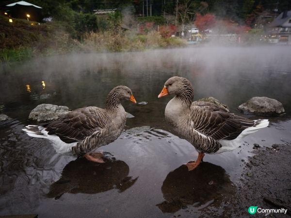 金麟湖的天下無雙