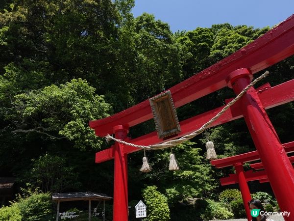 別府地獄行♨️海地獄