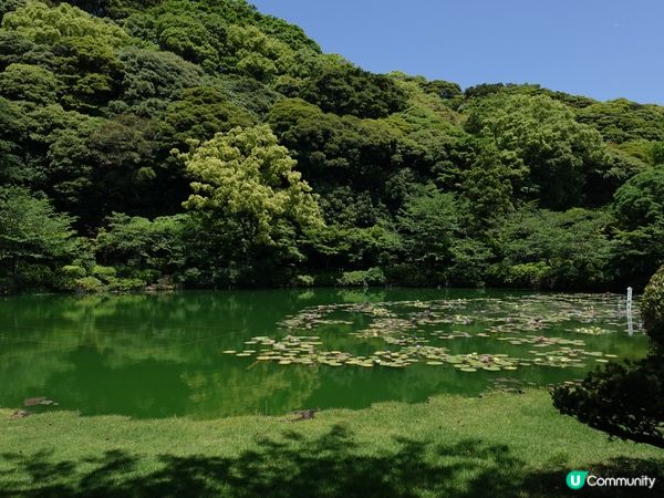 別府地獄行♨️海地獄