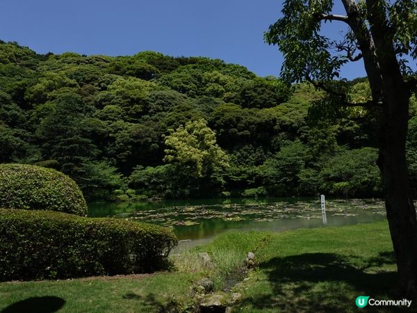 別府地獄行♨️海地獄