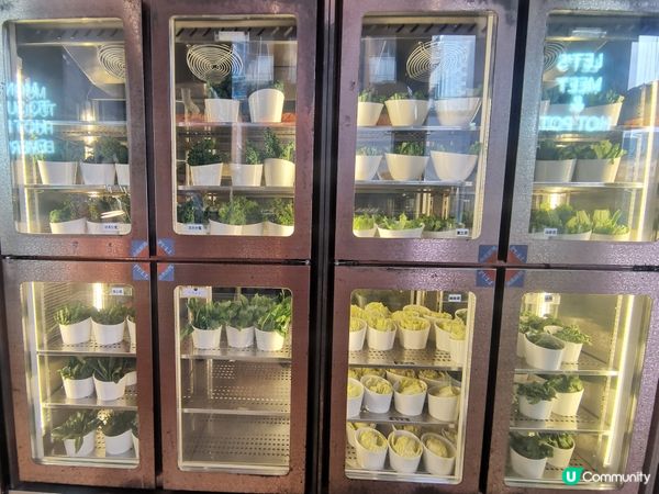 一鍋堂丨抵食之選丨68元半自助火鍋放題午餐