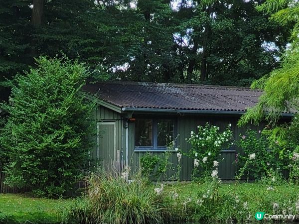 德國科隆動物園 Part I