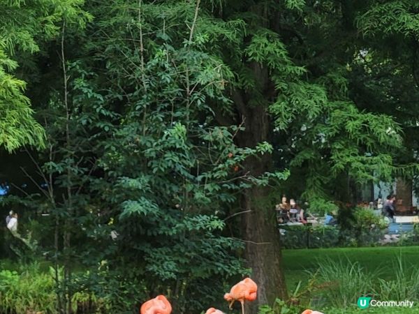 德國科隆動物園 Part I