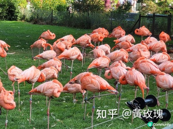 德國科隆動物園 Part I