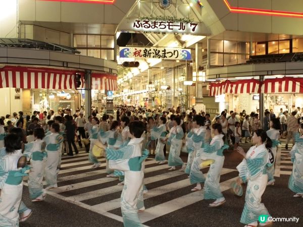 新潟三大夏日祭旅行新體驗！🏮🎉 