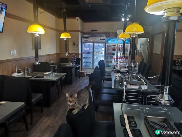 自轉燒烤放題，確實是岩晒我這個懶人福音！😌