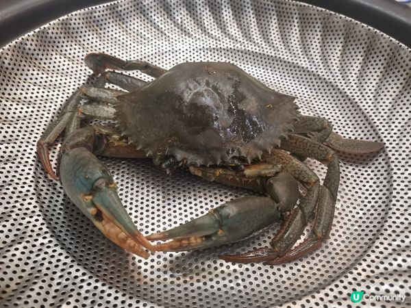 衣家連蒸氣火鍋都有廚師發辦啦！😂