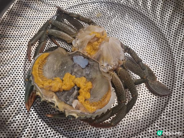 衣家連蒸氣火鍋都有廚師發辦啦！😂