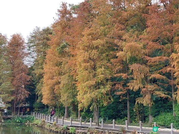 深圳仙湖植物園