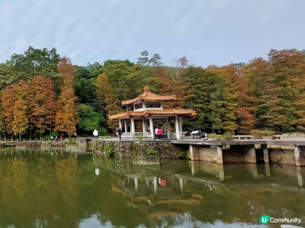 深圳仙湖植物園