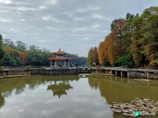 深圳仙湖植物園