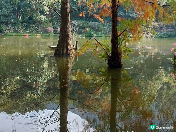 深圳仙湖植物園