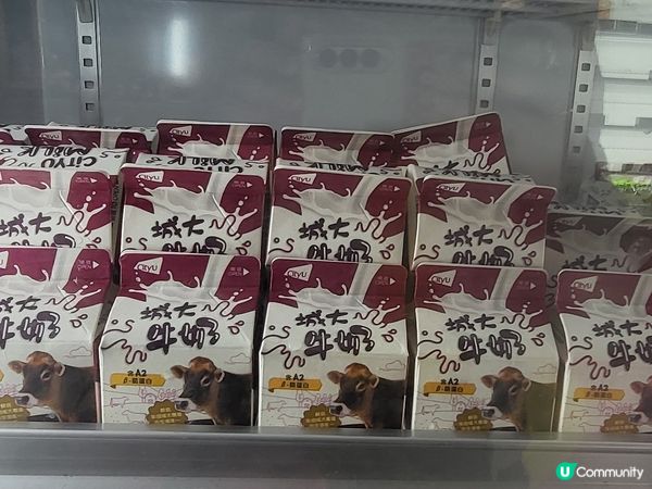 城大雪糕 & 城大牛奶