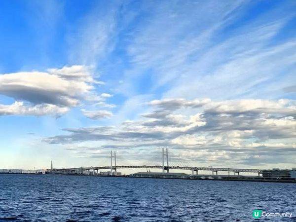 橫濱山下公園 🐶 海邊散步好去處 🌊
