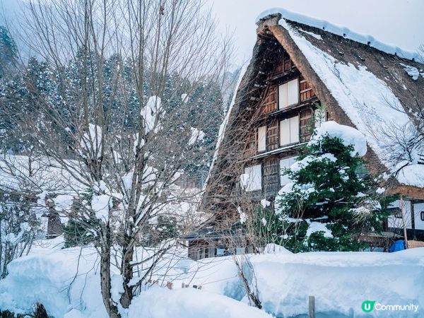 小手拉大手 往後一齊走💓