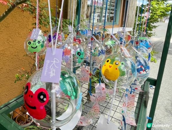 福岡如意輪寺，寺內掛滿的日式風鈴，微風輕吹，風鈴齊響，十分治...