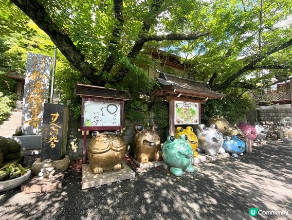 福岡如意輪寺，寺內掛滿的日式風鈴，微風輕吹，風鈴齊響，十分治...