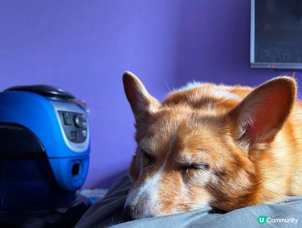 好眼訓咩你 💤