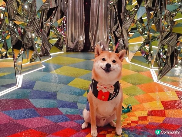 同阿爬一起穿越到夢幻的萬花筒世界🏵️💕