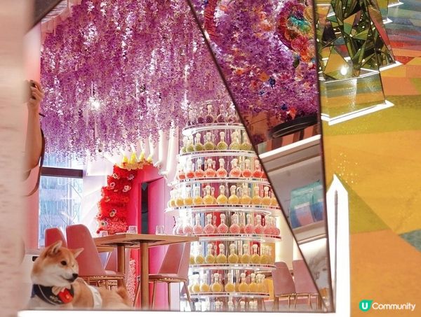 同阿爬一起穿越到夢幻的萬花筒世界🏵️💕