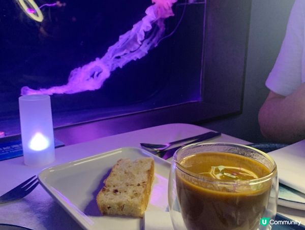 浪漫的水母餐廳 慢活打卡