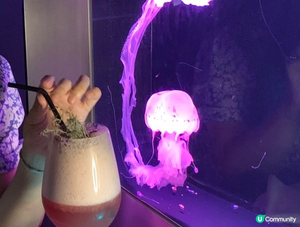 浪漫的水母餐廳 慢活打卡