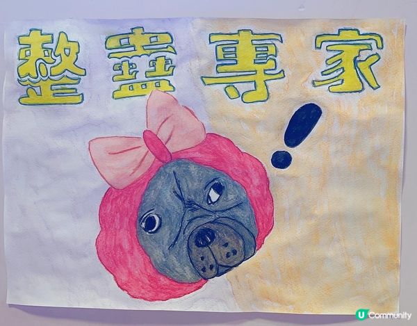 整蠱專家之豬仔包 IG :Jujaibaobao 