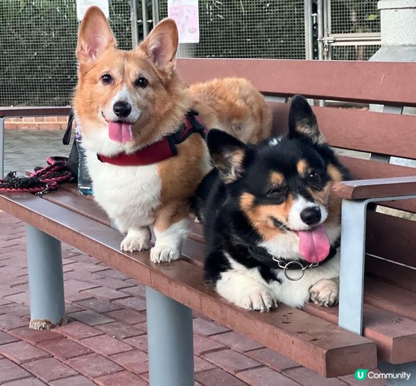 單眼妹Milka ❤️❤️