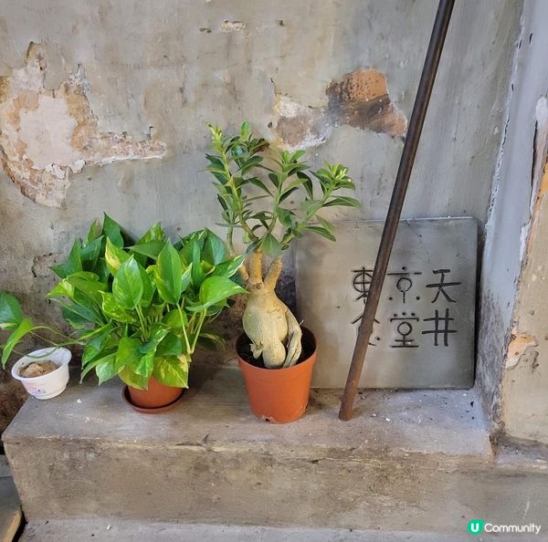 大驚喜！隱世黯然銷魚飯和貓飯🐱