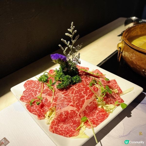 🥘 醉胡爐人氣仙氣火鍋