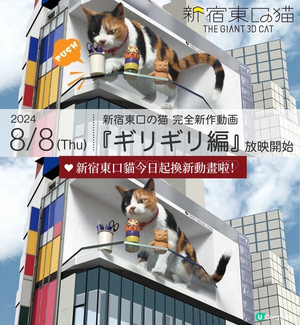 新宿東口貓8/8開始換新動畫啦🎊今次佢又玩左所有貓都玩既野