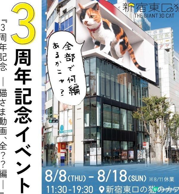 新宿東口貓8/8開始換新動畫啦🎊今次佢又玩左所有貓都玩既野