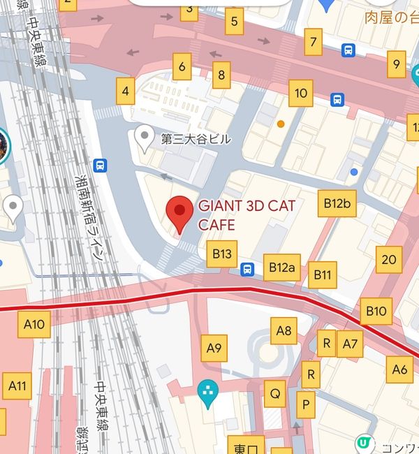 新宿東口貓8/8開始換新動畫啦🎊今次佢又玩左所有貓都玩既野