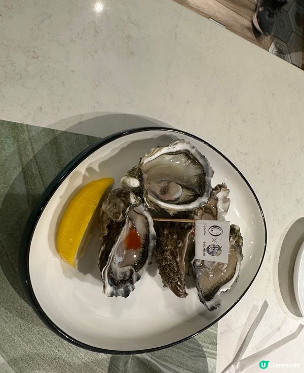 OysterMine x 香港生蠔關注組