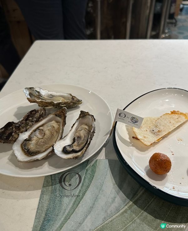 OysterMine x 香港生蠔關注組