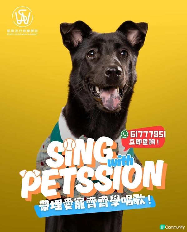 寵物友善歌唱學府🎤🐶！同毛孩唱K！
