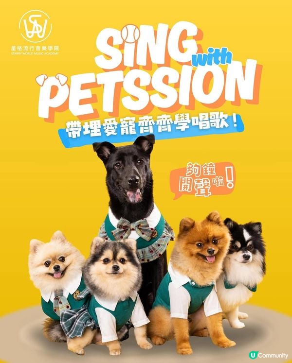 寵物友善歌唱學府🎤🐶！同毛孩唱K！