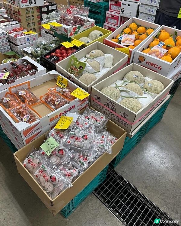 🏫大阪·木津市場🐟