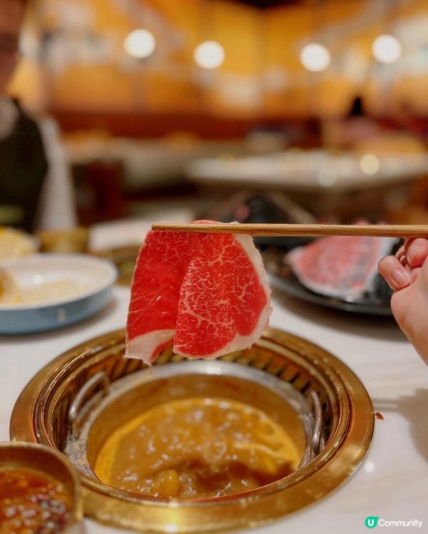 黑毛和🐄全日放題