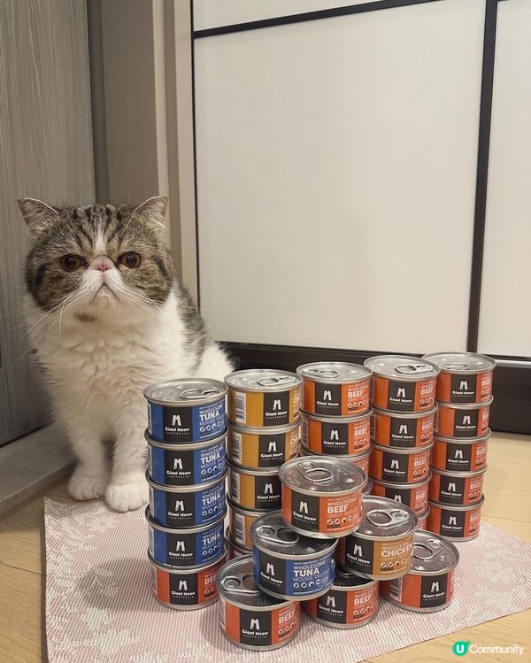 Giant Meow 最近出左新包裝主食罐呀！除咗之前嘅雞肉...