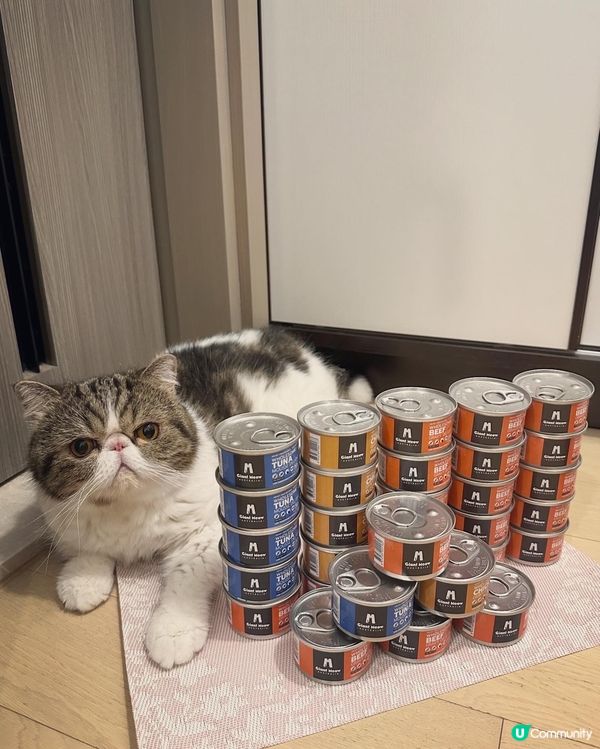 Giant Meow 最近出左新包裝主食罐呀！除咗之前嘅雞肉...