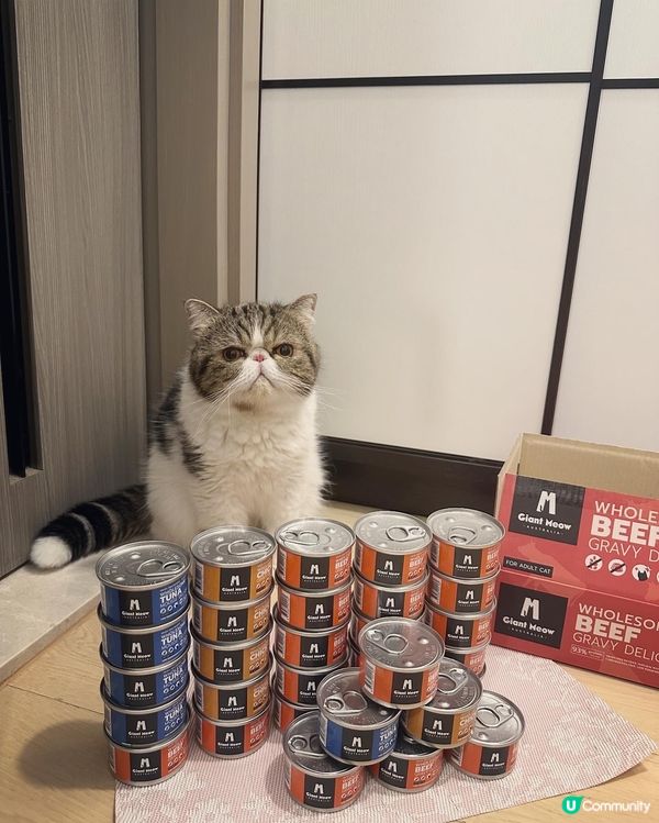 Giant Meow 最近出左新包裝主食罐呀！除咗之前嘅雞肉...
