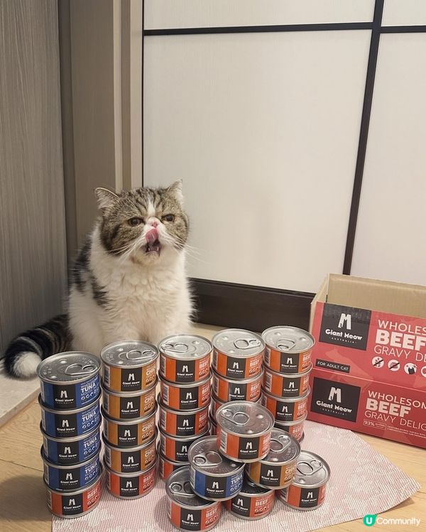 Giant Meow 最近出左新包裝主食罐呀！除咗之前嘅雞肉...