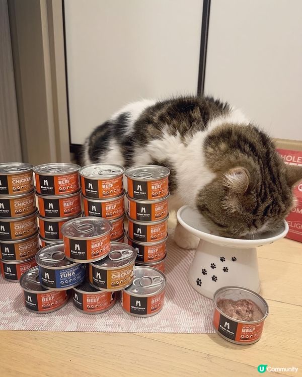 Giant Meow 最近出左新包裝主食罐呀！除咗之前嘅雞肉...