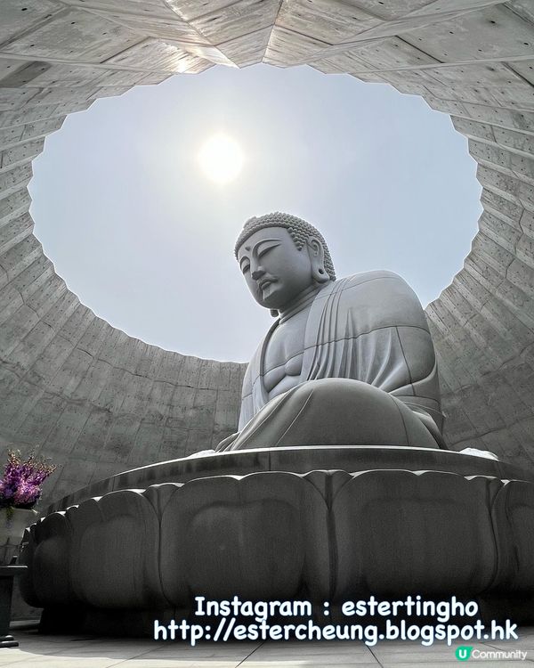 札幌近郊景點 👉🏻 頭大佛 🗿 摩艾石像 🗿 巨石陣