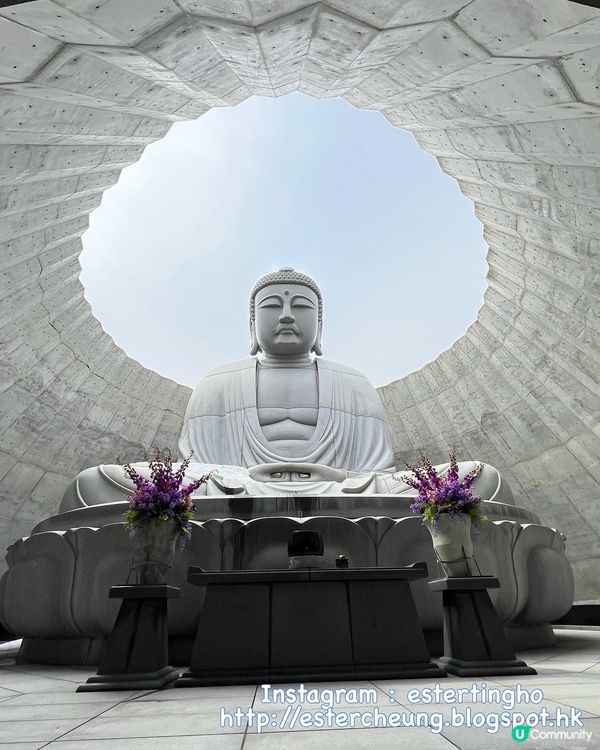 札幌近郊景點 👉🏻 頭大佛 🗿 摩艾石像 🗿 巨石陣