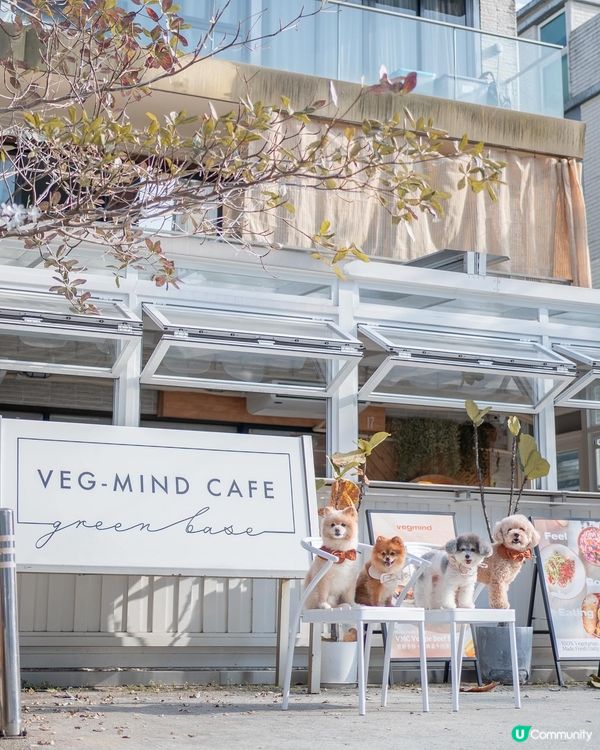 🥗大西北寵物友善素食Cafe