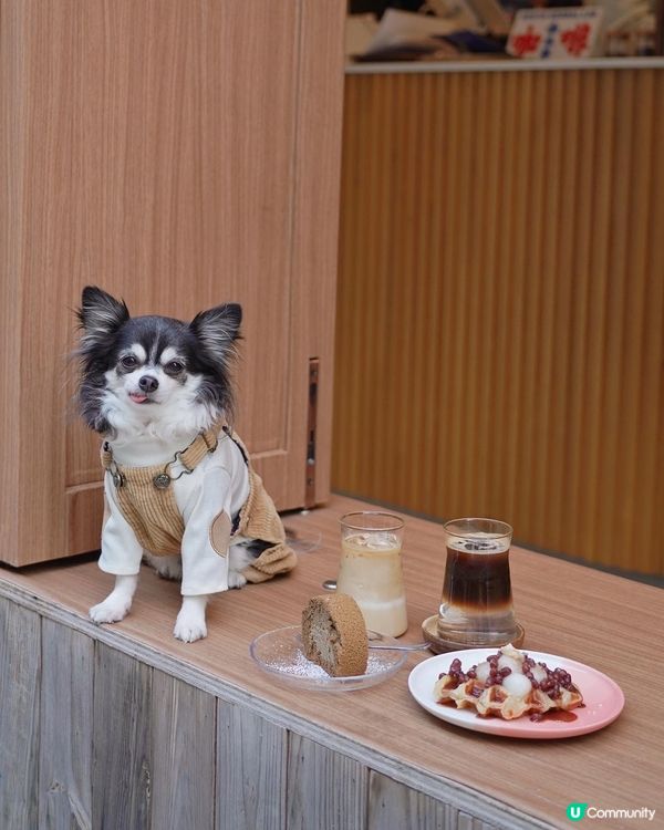 長沙灣涼茶x木系Cafe 南本草🌿