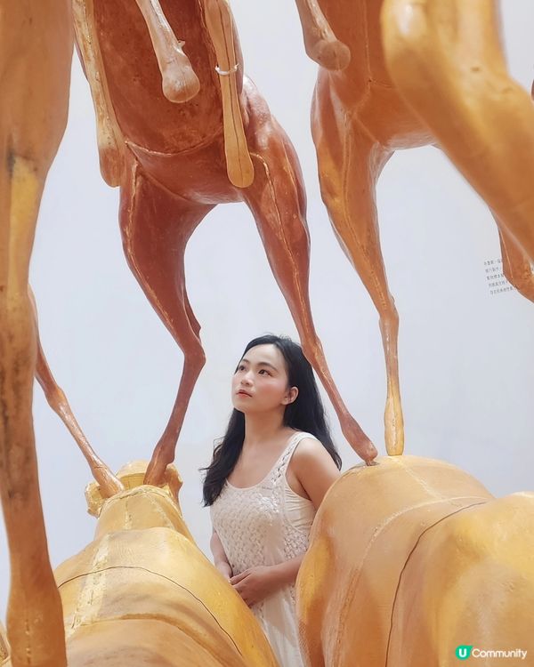 大館l 當代藝術家「布魯斯・瑙曼」