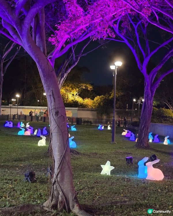 中秋沙田公園賞燈兔！🐰🏮 千燈映月等你嚟！
